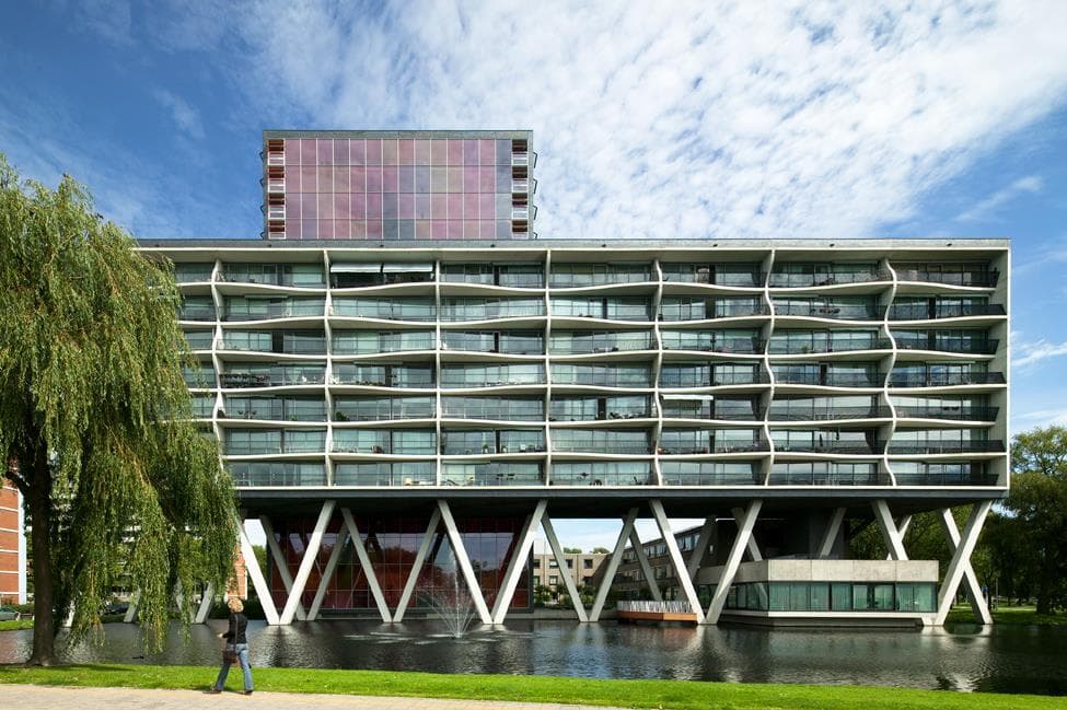 Foto - 14d28a45c87081ad1119e63266fe121d_07102025_053733_9154274_dpi-correction.JPG_dpi-correction.jpg