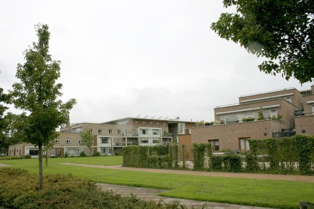 Foto - 9cf045dca0a08680c6096e773f05c430_07102025_054446_3108552_dpi-correction.JPG_dpi-correction.jpg