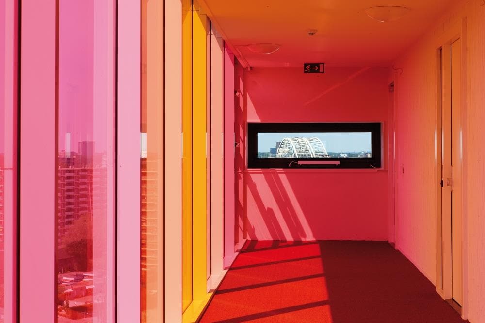 Foto - 8a2157f42ebebbca460d029f145db018_07102025_053734_4623297_dpi-correction.JPG_dpi-correction.jpg